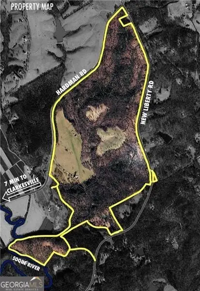 2320 Hardman Road, Clarkesville, GA 30523 - #2