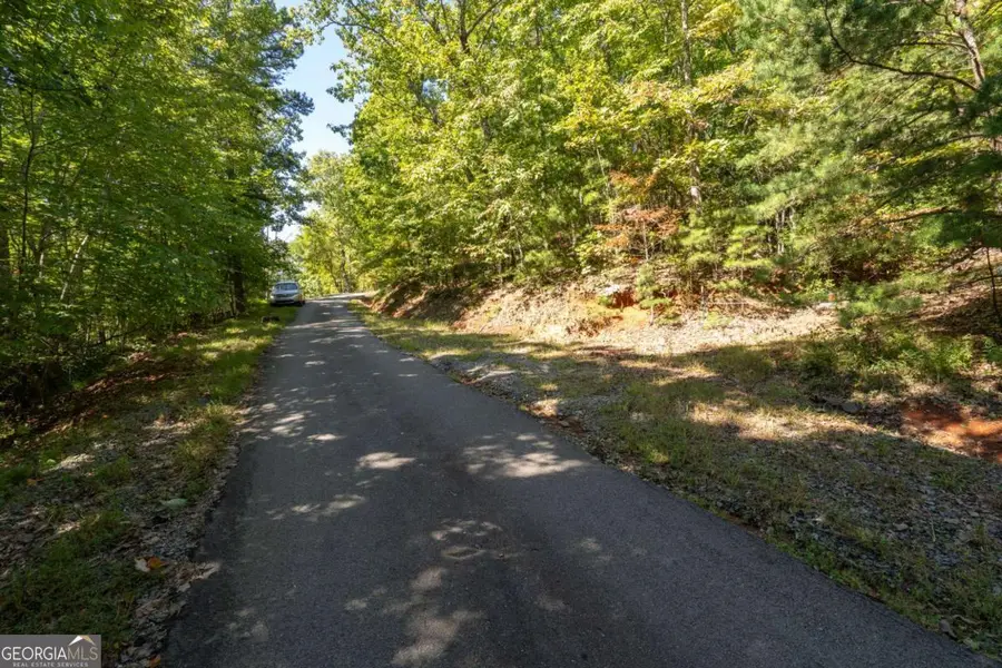LOT 6/7 Raintree Bend #LOT 6/7, Blue Ridge, GA 30513 - #2