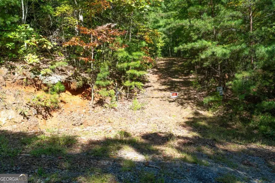 LOT 6/7 Raintree Bend #LOT 6/7, Blue Ridge, GA 30513 - #3