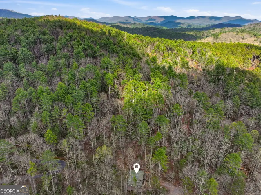1780 Conasauga Road, Ellijay, GA 30540 - #3