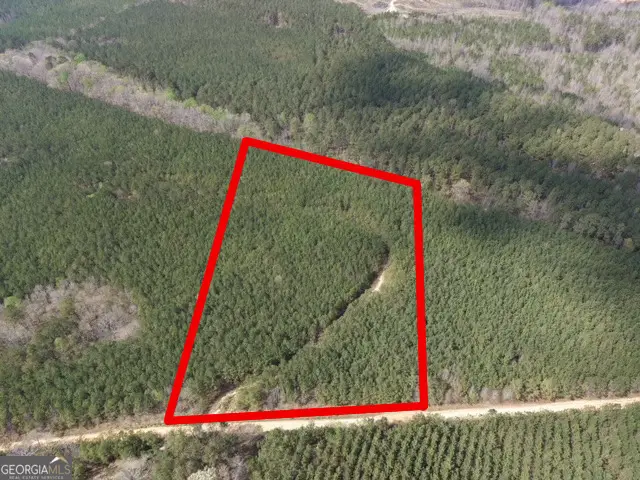 14 Hollis Norman Road, Tignall, GA 30668 - #1