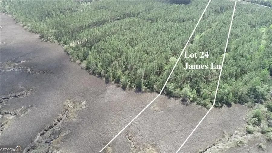 LOT 24 James Lane, White Oak, GA 31568 - #3