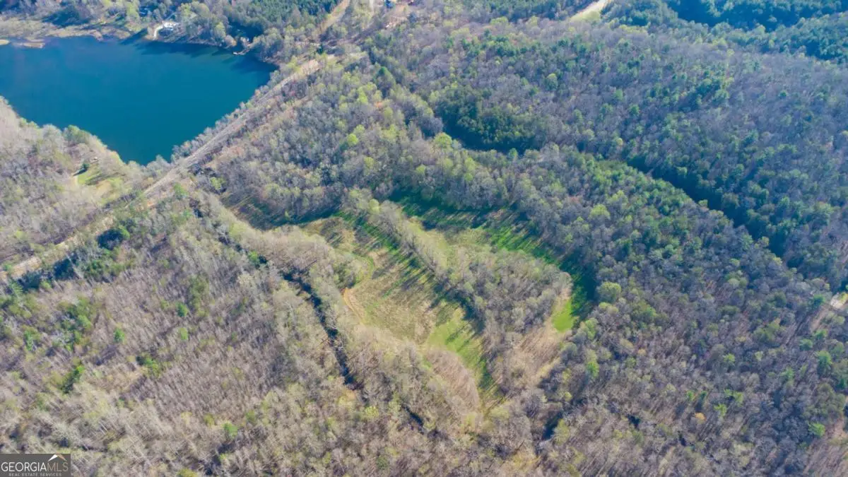 9031 Steve Tate Highway, Dawsonville, GA 30534 - #1