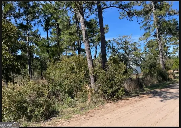 PT LT 24X E West Autobahn Road, Sapelo Island, GA 31327