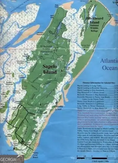 PT LT 24X E West Autobahn Road, Sapelo Island, GA 31327 - #2