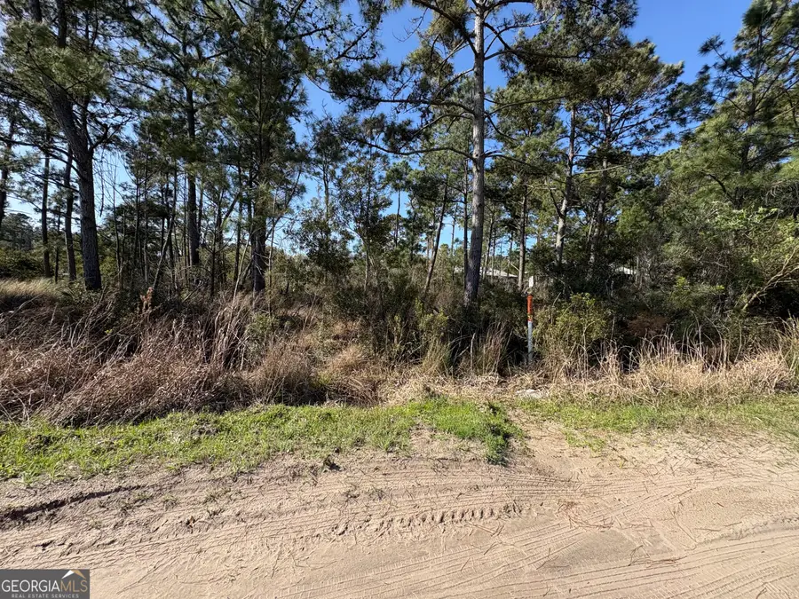 PT LT 24X E West Autobahn Road, Sapelo Island, GA 31327 - #3