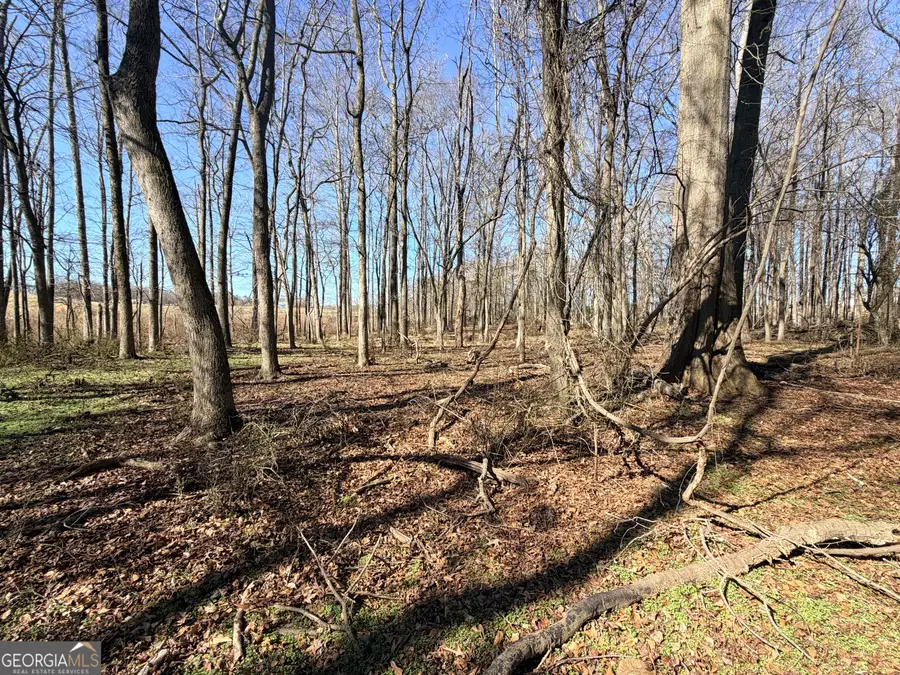 0 Adams Duncan Road #TRACT 3, Hull, GA 30646 - #3