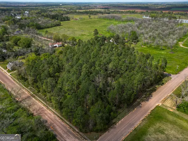 109 Main Street, Parrott, GA 39877