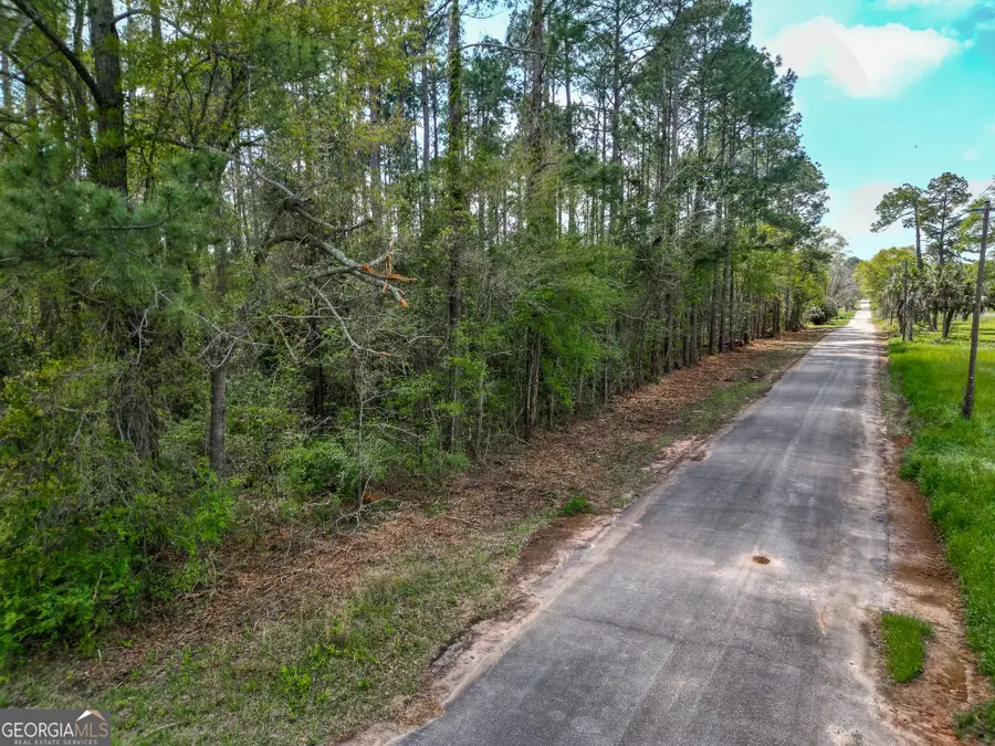 109 Main Street, Parrott, GA 39877 - #3