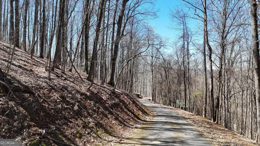 LOT 100 Timberline Acres #100, Young Harris, GA 30582 - #3