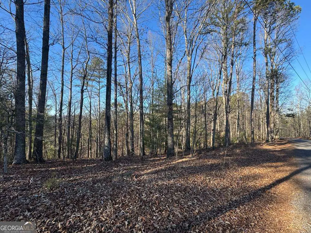 0 Rebekah Ridge #LOT 1710, Talking Rock, GA 30175 - #1