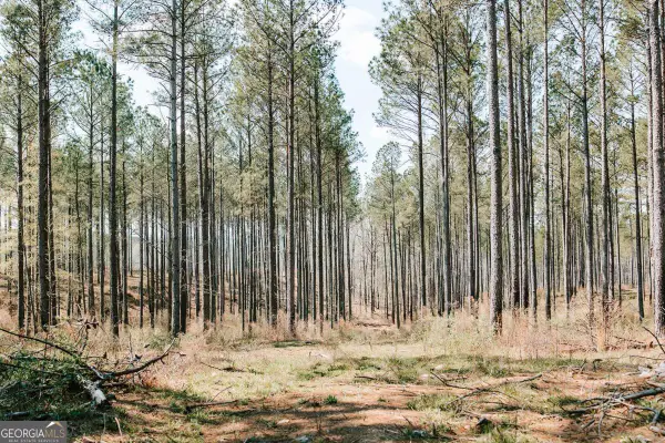 0 Washington Road, Lexington, GA 30648