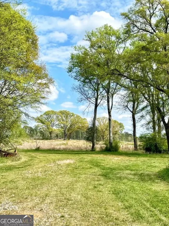 4843 Greer Road, Hillsboro, GA 31038 - #3