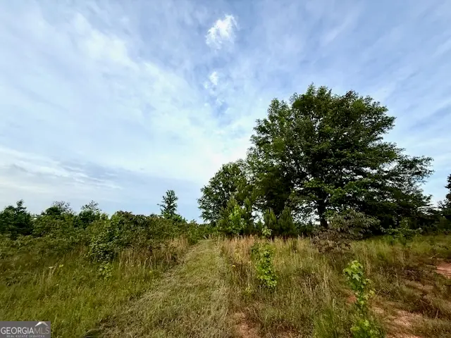 0 Camak School Road, Norwood, GA 30821 - #2