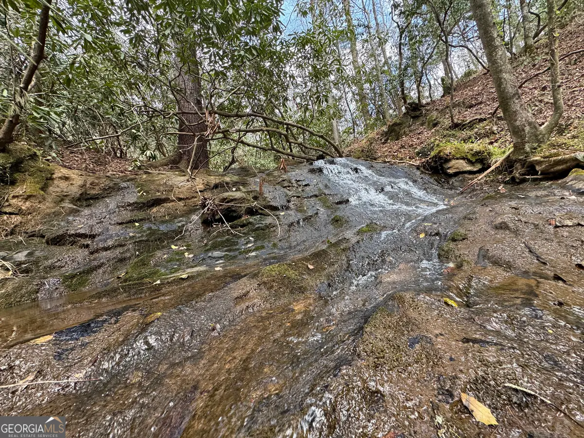 0 Grizzly Bear Trail, Sautee Nacoochee, GA 30571 - #1