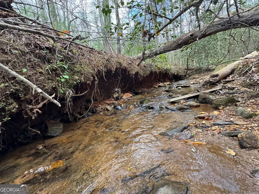 0 Grizzly Bear Trail, Sautee Nacoochee, GA 30571 - #3