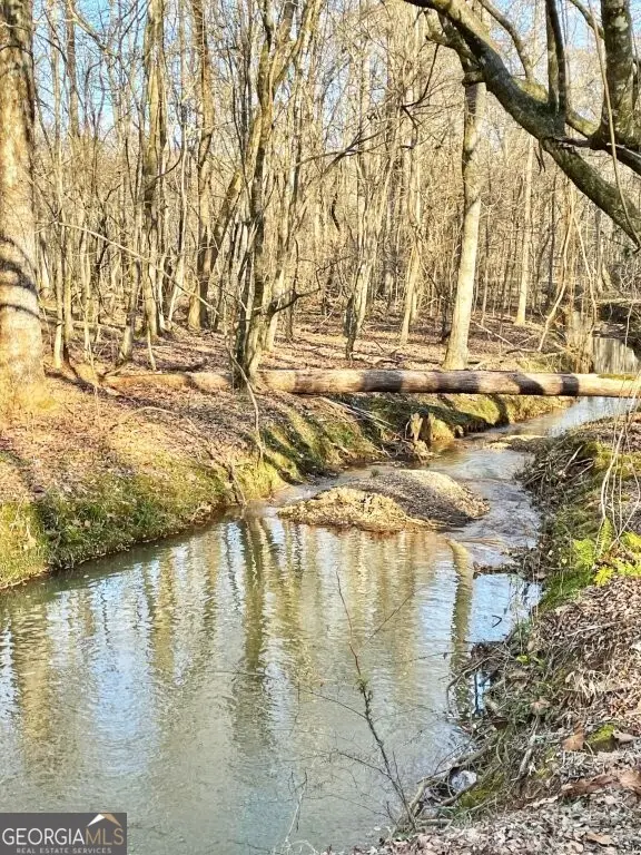 0 Fullerton-phillips Road, Hillsboro, GA 31038 - #2