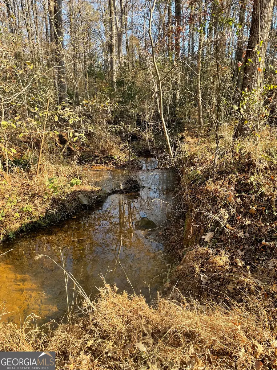 0 Fullerton-phillips & Greer Road, Hillsboro, GA 31038 - #3