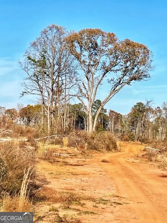 0 Fullerton-phillips & Greer Road, Hillsboro, GA 31038