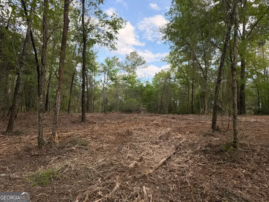 0 Booster Club Road, Bainbridge, GA 39819 - #2