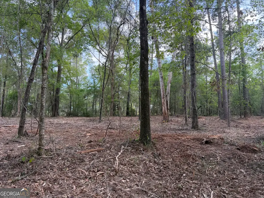 0 Booster Club Road, Bainbridge, GA 39819 - #3