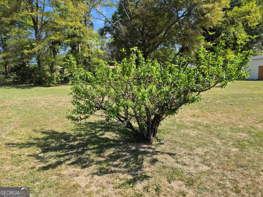 13 Marshall Street, Butler, GA 31006 - #2