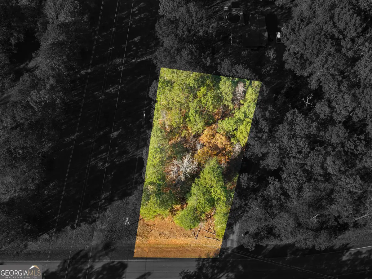 0 Freeman Road, Hampton, GA 30228 - #1