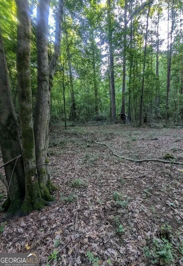 2773 River Road, Ellenwood, GA 30294 - #3