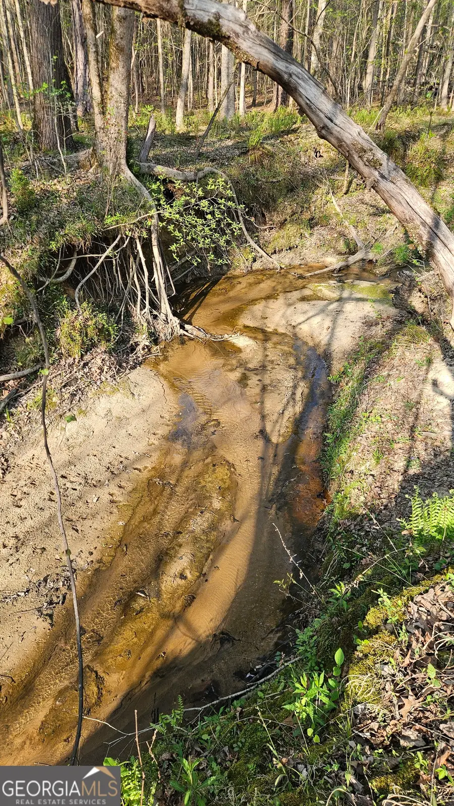 0 Hwy 15, Greensboro, GA 30642 - #2