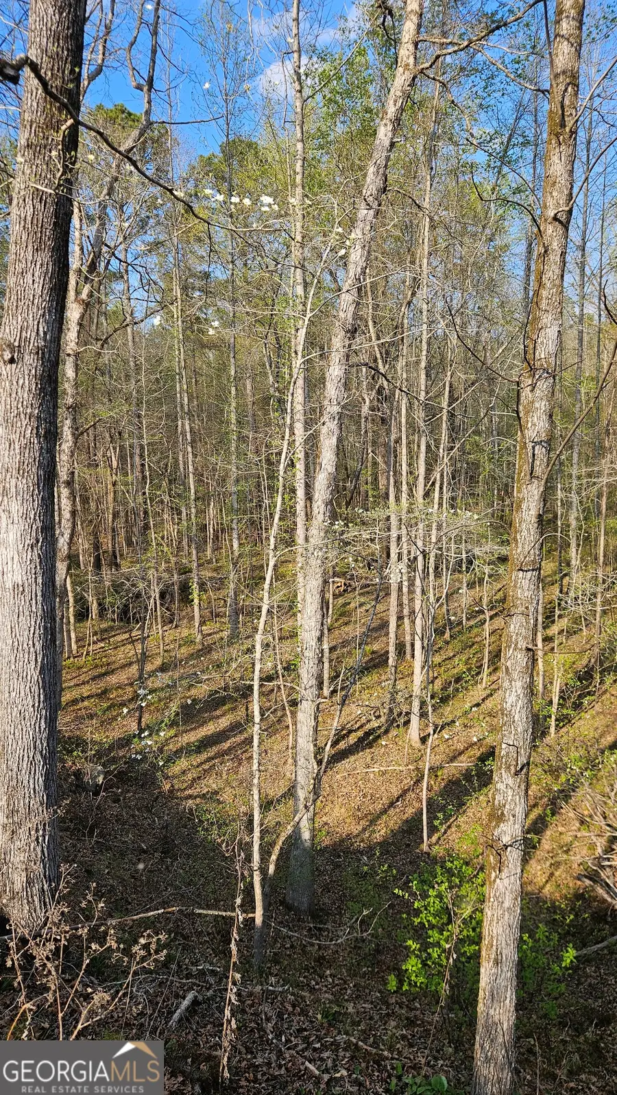 0 Hwy 15, Greensboro, GA 30642 - #3