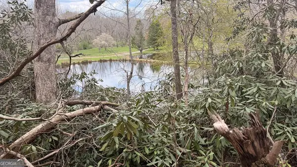 #9 Mill Creek Hollow, Hayesville, NC 28904