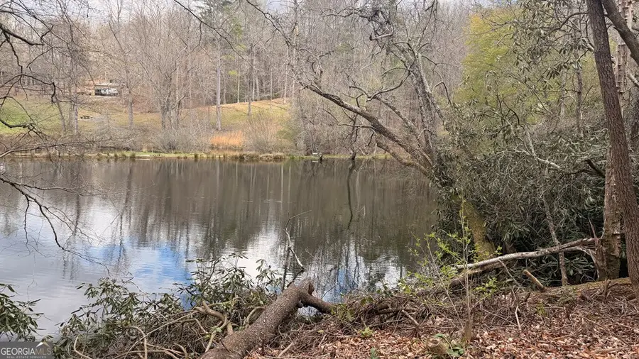 #9 Mill Creek Hollow, Hayesville, NC 28904 - #3