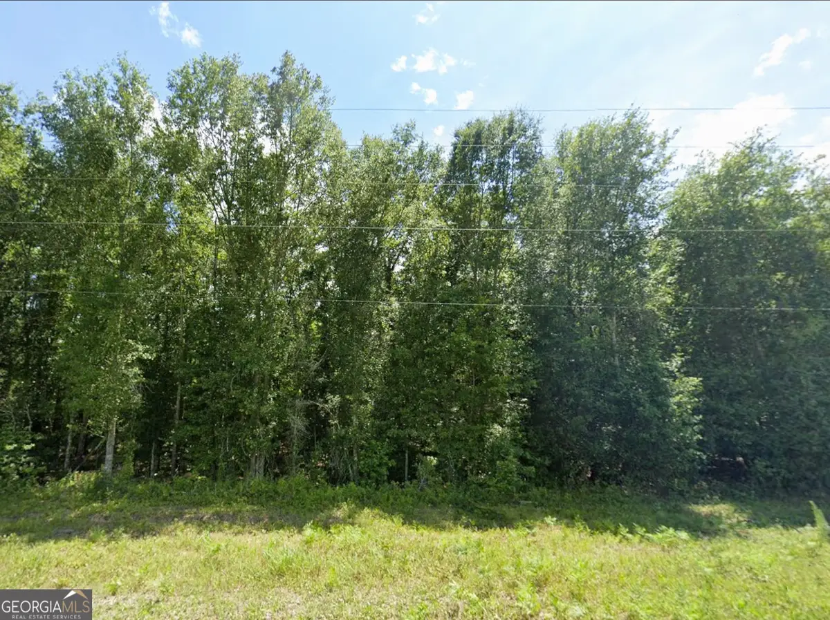 0 Mann Road, Arabi, GA 31712 - #1