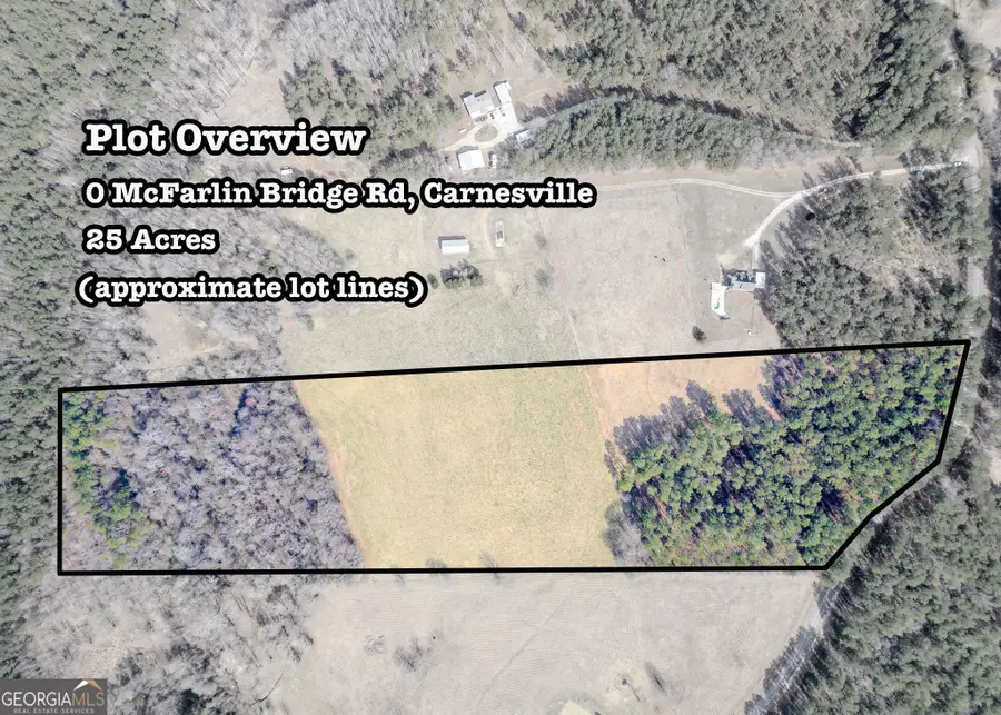 25 ACRES 0 Mcfarlin Bridge, Carnesville, GA 30521 - #2