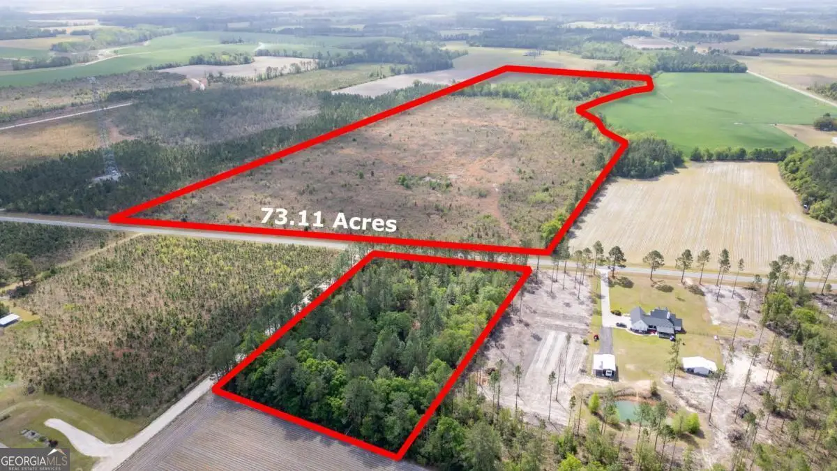 001 Piney Grove Church Road, Baxley, GA 31513 - #1