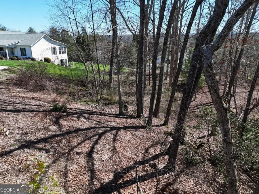 LOT 91 Peyton Drive, Blue Ridge, GA 30513 - #2