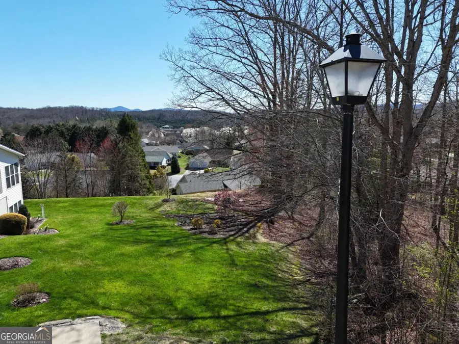 LOT 91 Peyton Drive, Blue Ridge, GA 30513 - #3