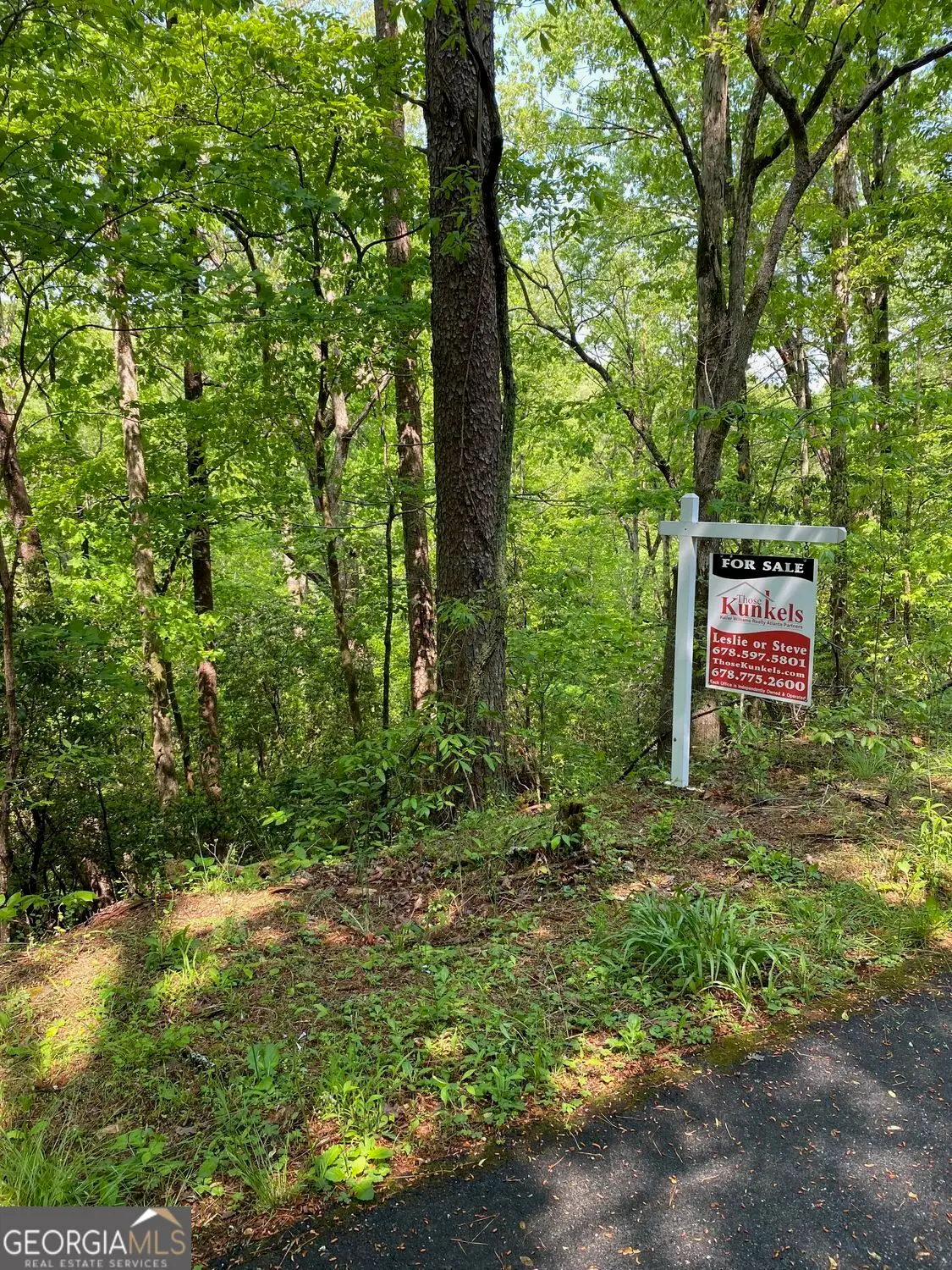 31 Valhalla Drive, Cleveland, GA 30528 - #1