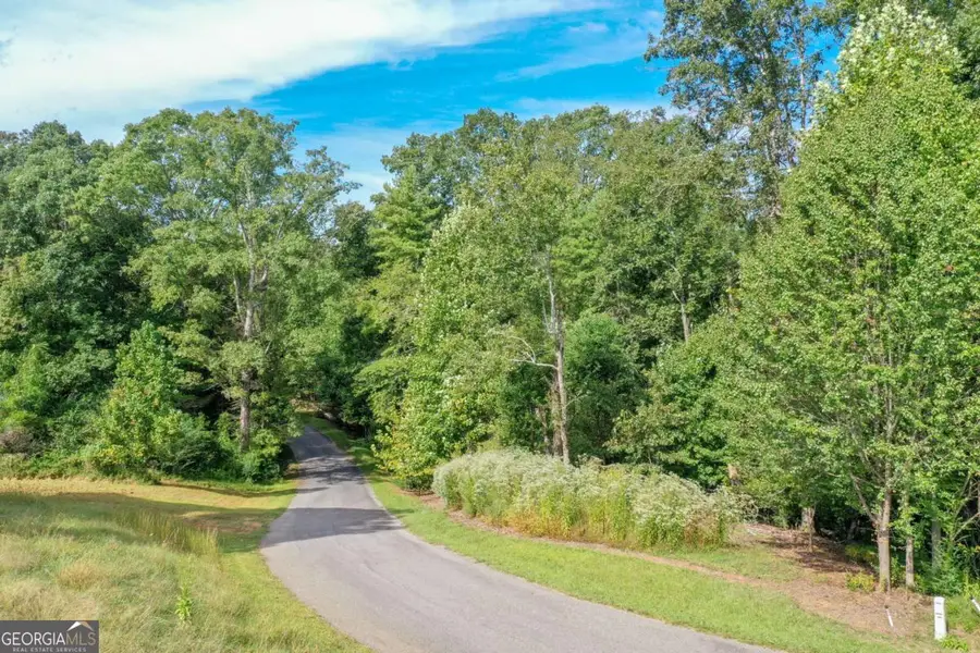 0 Strada Del Vino #10, Dahlonega, GA 30533 - #3