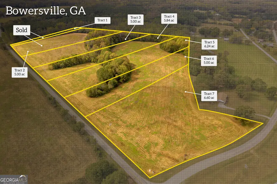 0 Airline School Road #TRACT 7, Bowersville, GA 30516 - #3