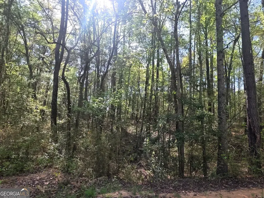 TRACT A Ga Highway 102, Mitchell, GA 30820 - #3