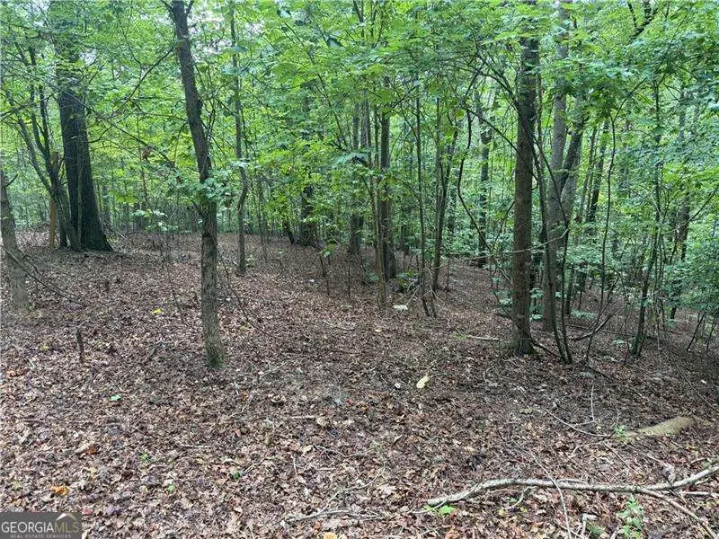 140 Joe Green Lane, Canton, GA 30114 - #1