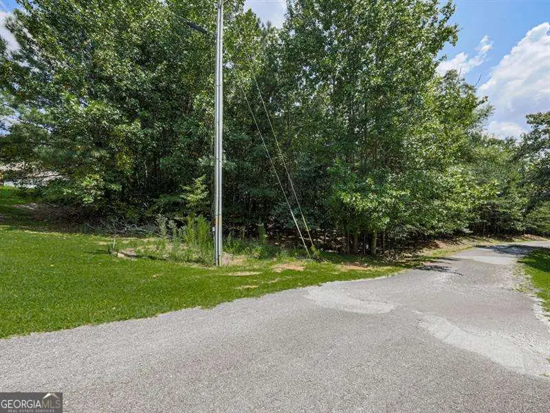 140 Joe Green Lane, Canton, GA 30114 - #3