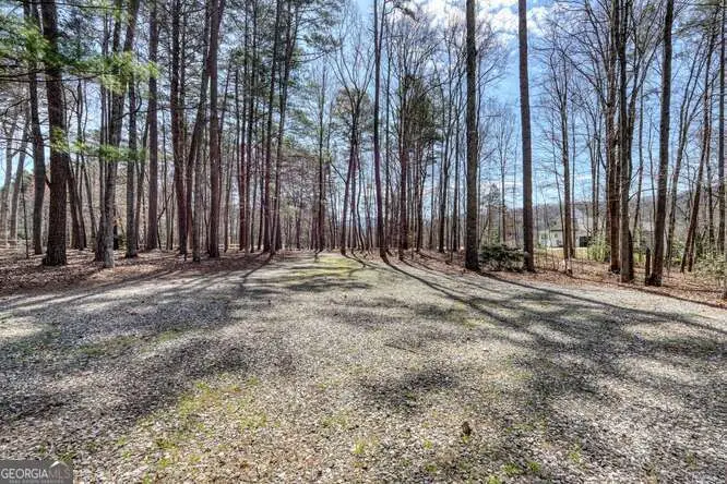 243 Allison Road, Blairsville, GA 30512 - #3