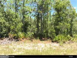 6927 Greenfield Rd, Blackshear, GA 31516