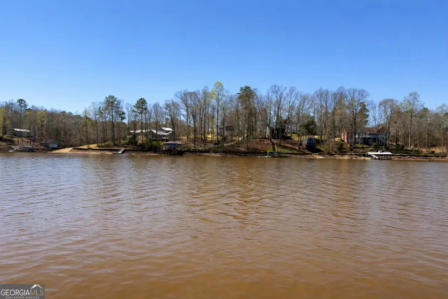 0 Muffit Drive, Wedowee, AL 36278 - #2