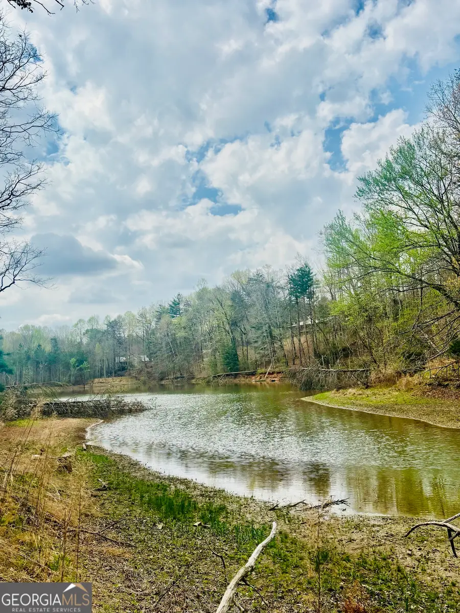 1048 Echota Road, Clarkesville, GA 30523 - #2