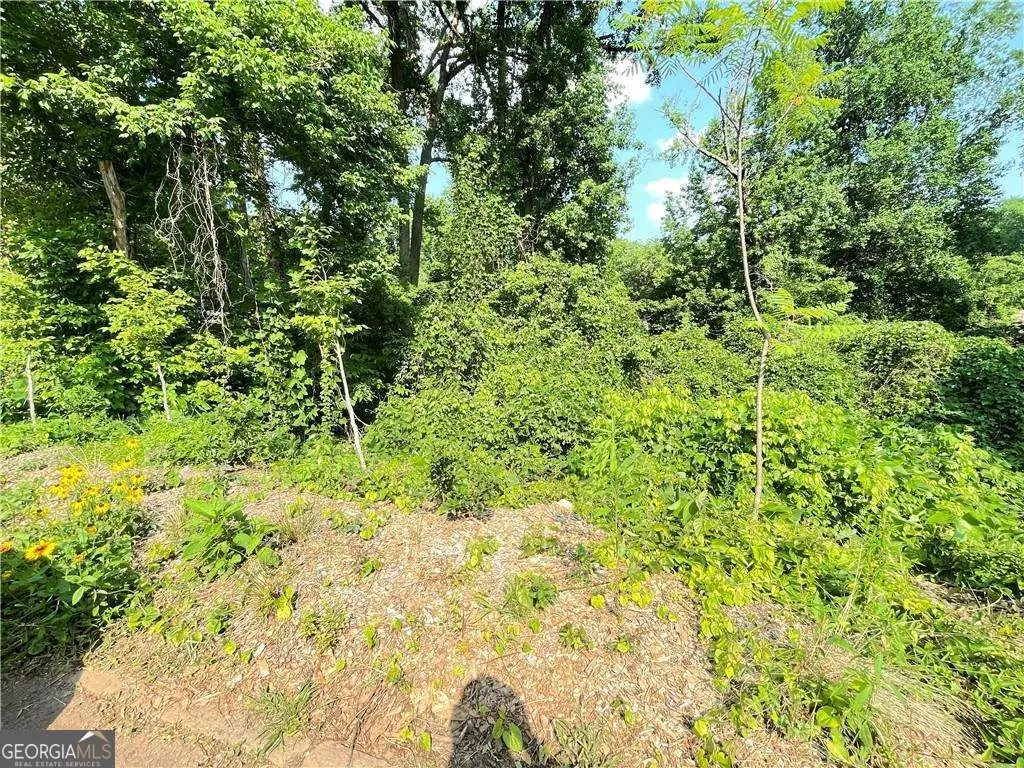 1247 Beechview Drive Se, Atlanta, GA 30316 - #1