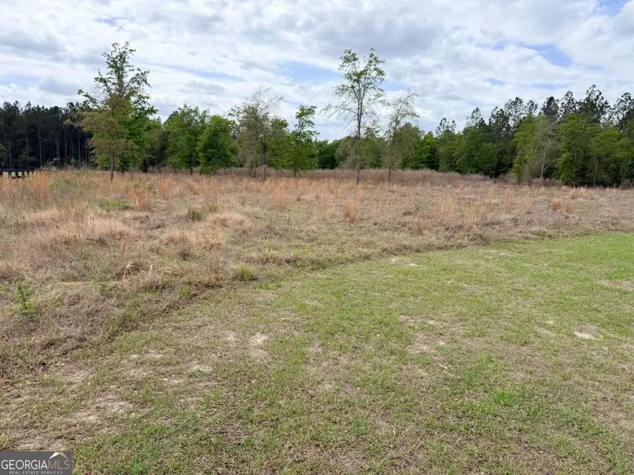 7518 Buck Head Road, Baxley, GA 31513 - #3