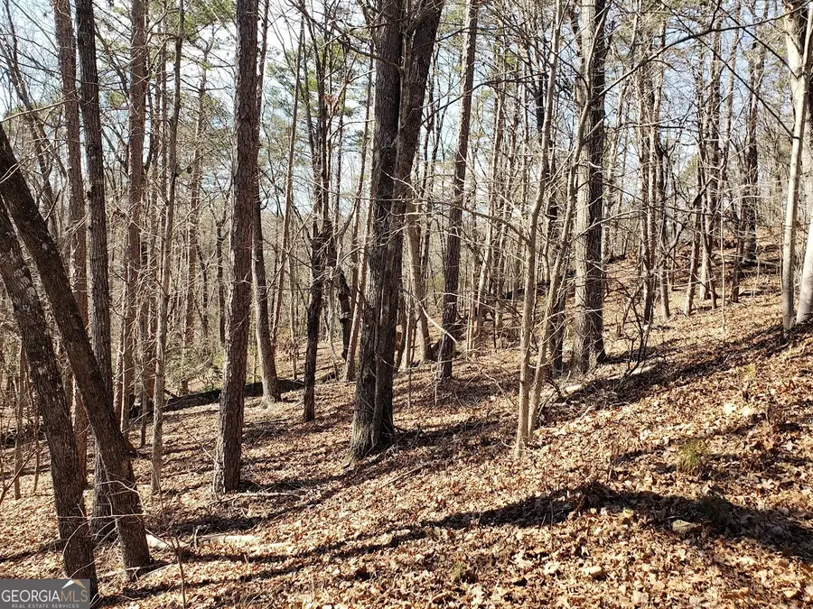 0 Planters Pointe Drive, Banks, GA 30511 - #2